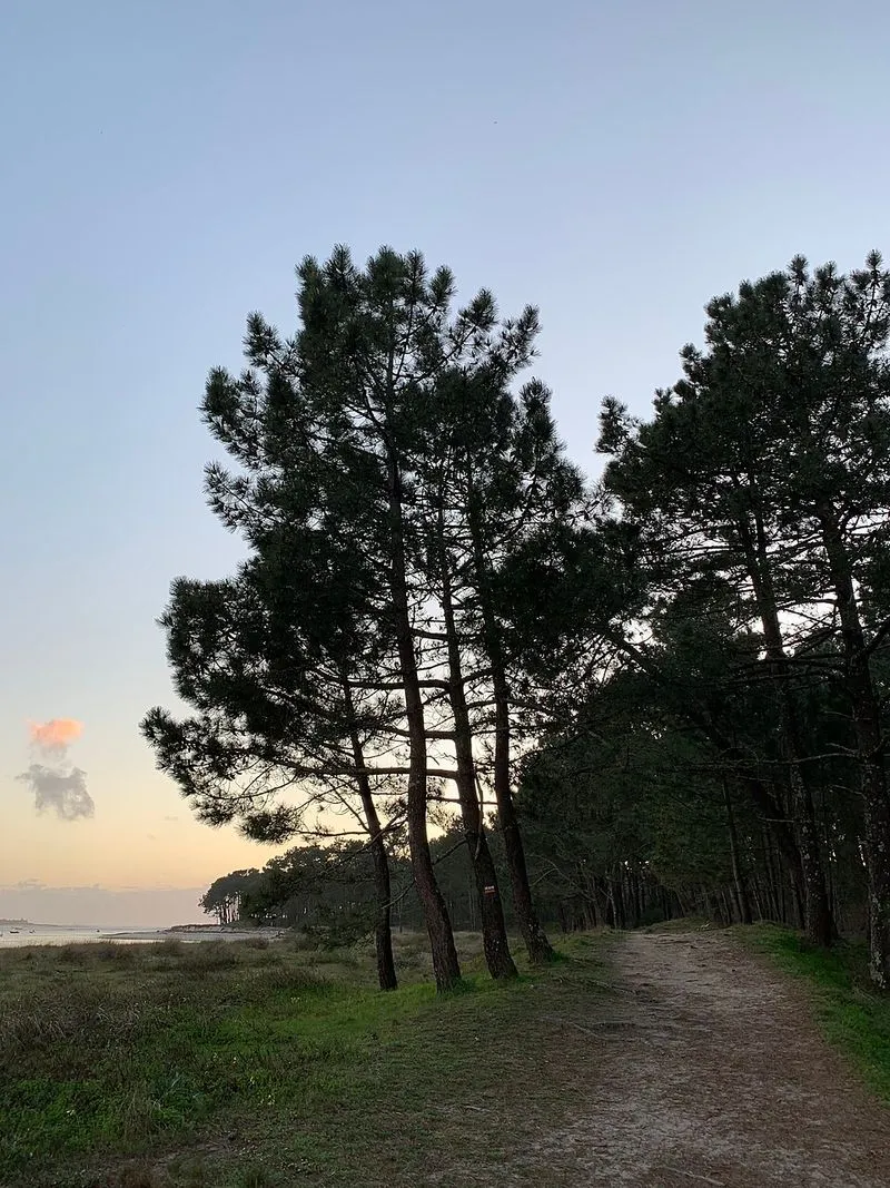 Playa A Lamiña en A Guarda, Pontevedra — foto 5 de 5