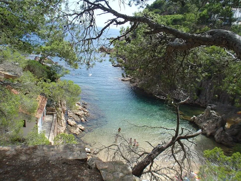 Playa Aigua Xelida en Palafrugell, Gerona — foto 2 de 5