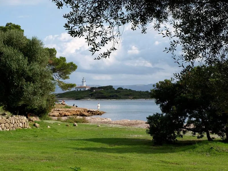 Playa de Alcanada en Alcúdia