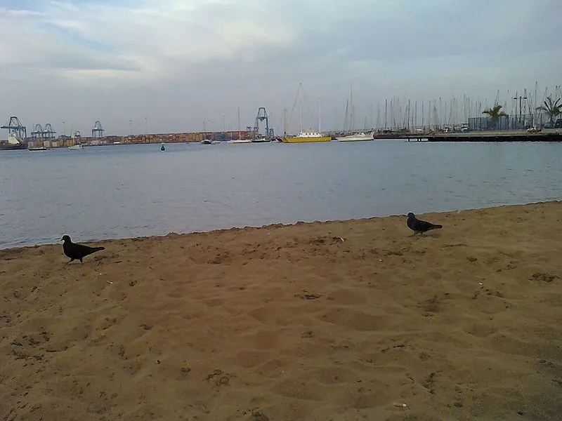 Playa de Alcavaneras en Las Palmas de Gran Canaria, Las Palmas — foto 8 de 8