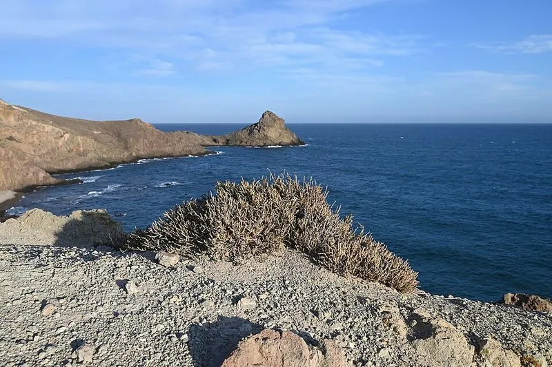Playa de Ancón de Cabo de Gata en Níjar, Almería — foto 2 de 6