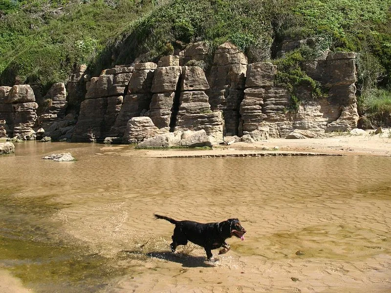 Playa Arenilla en Ribamontán al Mar, Cantabria — foto 2 de 5