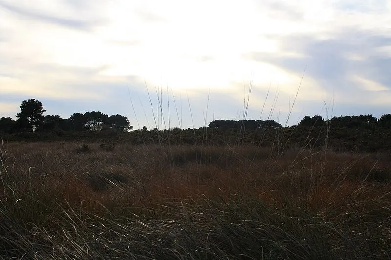 Playa de Arnelas en A Illa de Arousa, Pontevedra — foto 3 de 5