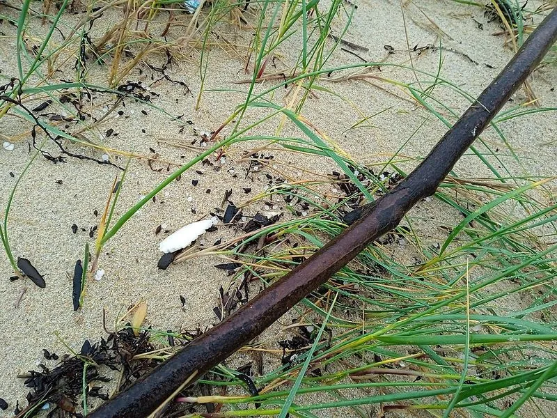 Playa de As Furnas en Ribeira, A Coruña — foto 1 de 3