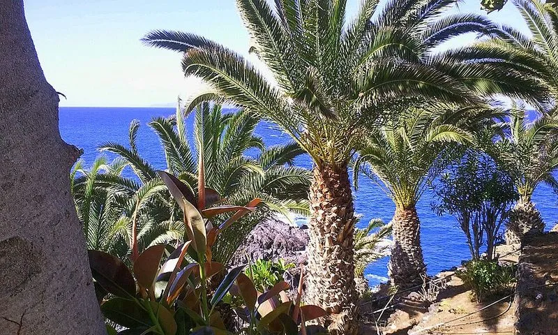 Playa Baja Larga en Guía de Isora, Santa Cruz de Tenerife — foto 2 de 5