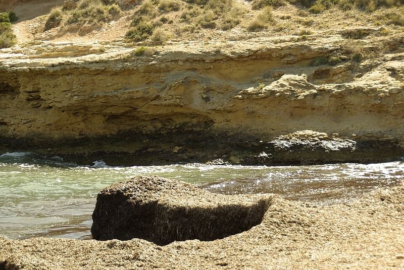 Playa Banyets de la Reina en El Campello