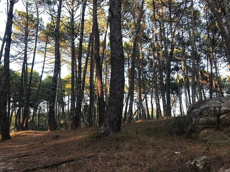Playa de Barra en Cangas, Pontevedra — foto 7 de 7