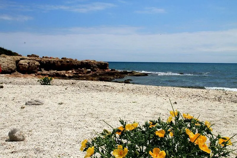 Playa de Basseta en Peníscola/Peñíscola, Castellón — foto 2 de 2