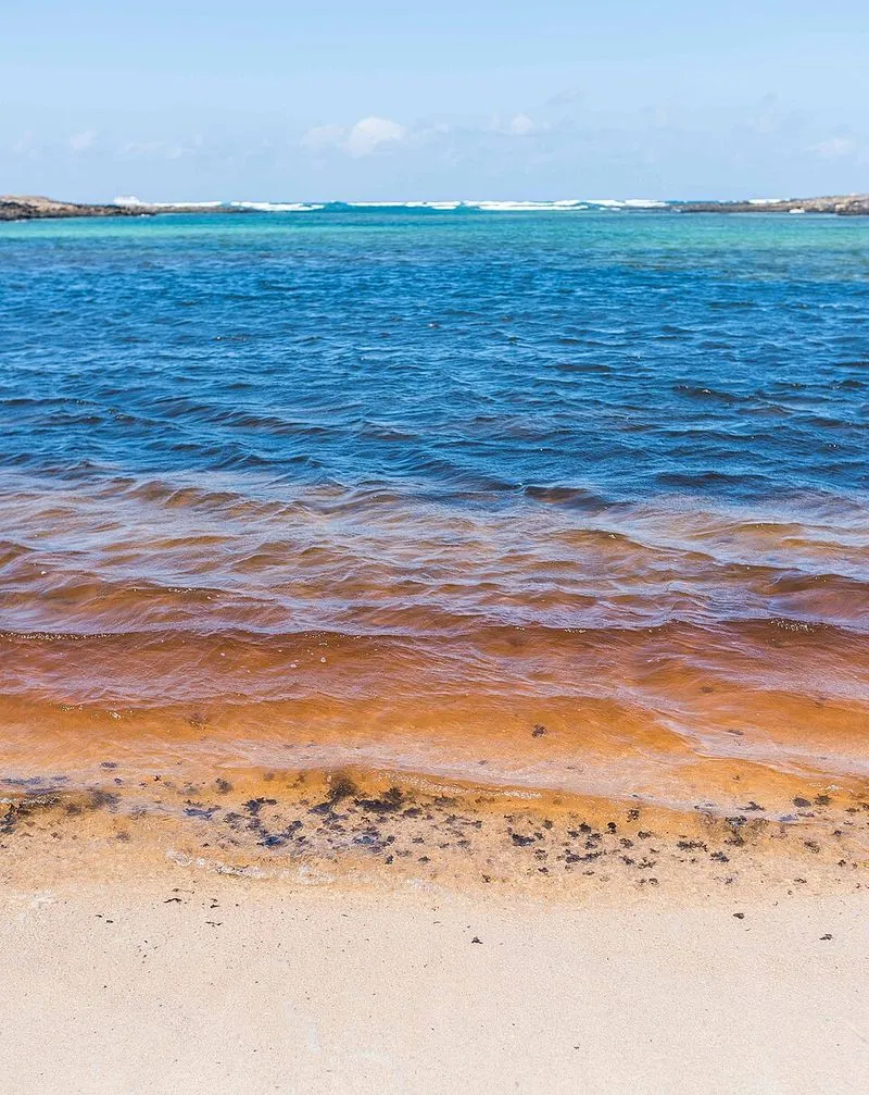 Playa de Beatriz en La Oliva, Las Palmas — foto 2 de 5