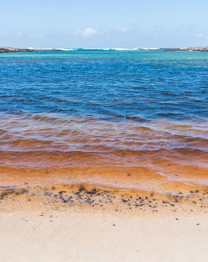 Playa de Beatriz en La Oliva