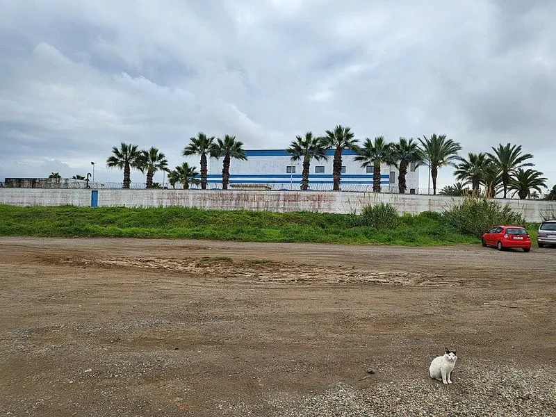 Playa de Benítez (segundo tramo) en Ceuta, Ceuta — foto 4 de 6