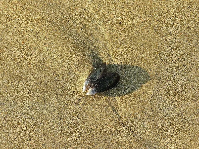 Playa Ber en Pontedeume, A Coruña — foto 4 de 6