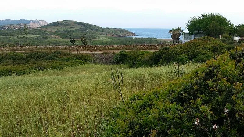 Playa de Binimel-La en Es Mercadal, Islas Baleares — foto 8 de 10