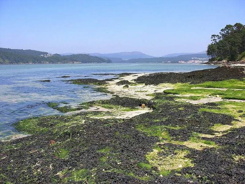 Playa de Boa en Noia, A Coruña — foto 7 de 8