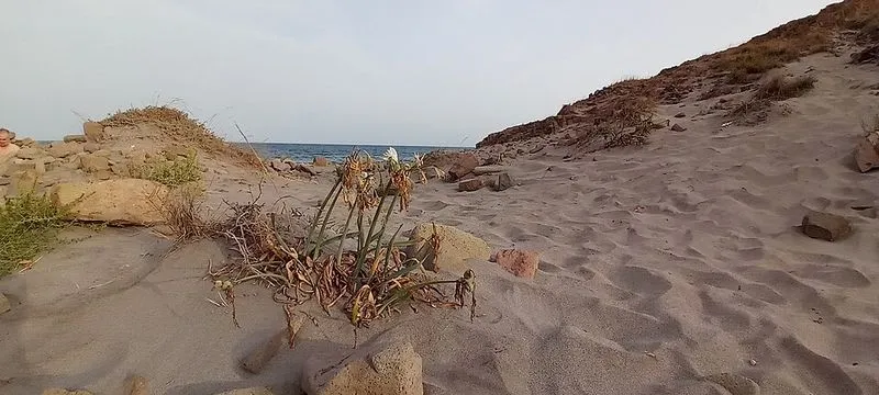 Playa Cala Arena en Níjar, Almería — foto 2 de 9