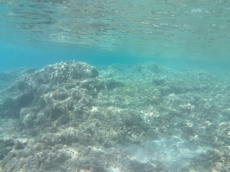 Playa Cala Arena en Níjar, Almería — foto 3 de 9