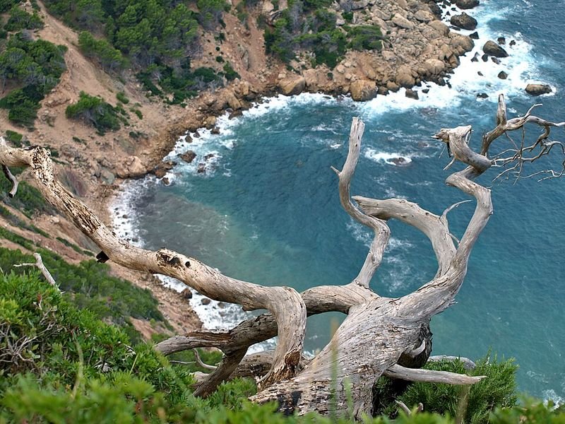 Playa Cala Basset en Andratx