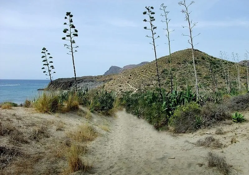 Cala Carbón en Níjar, Almería — foto 2 de 8