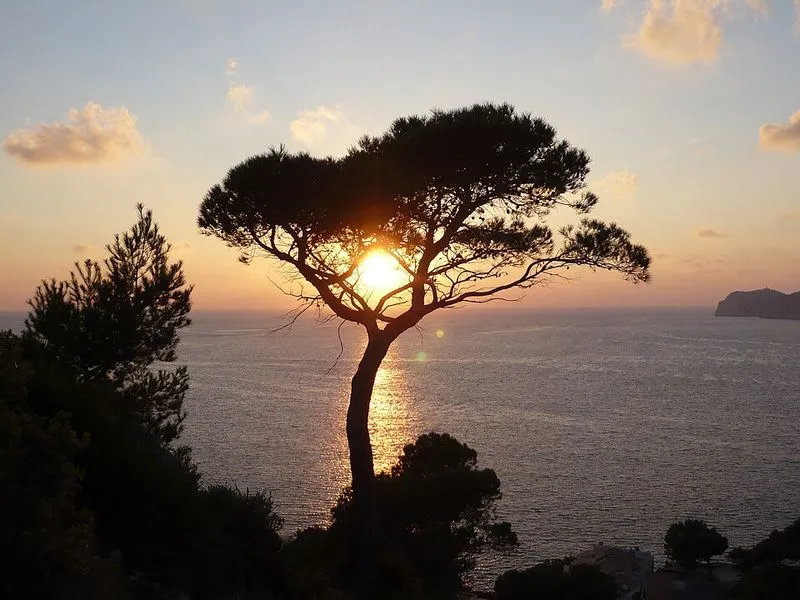 Cala Conills en Andratx, Islas Baleares — foto 2 de 5