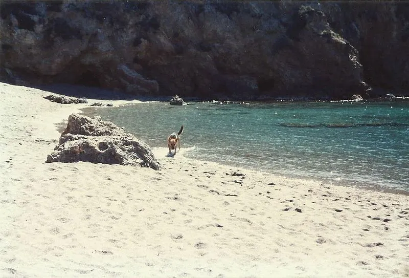 Playa Cala Cortina en Cartagena, Murcia — foto 5 de 8