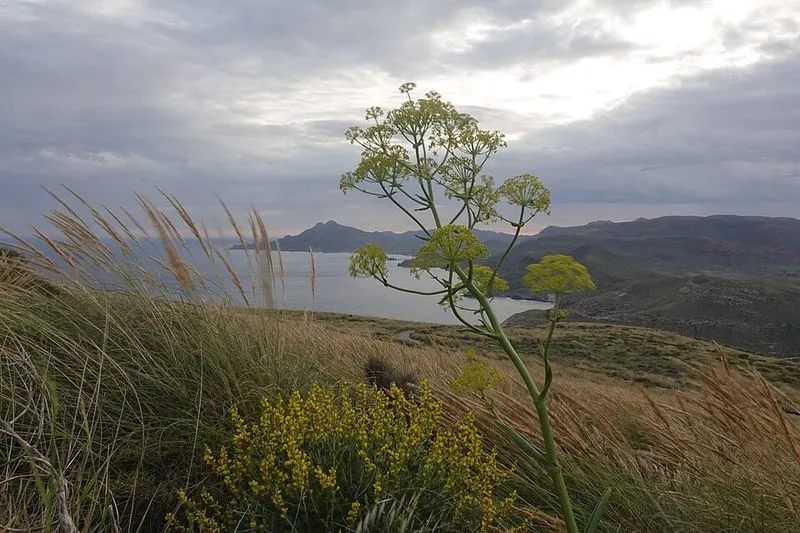 Cala de la Polacra en Níjar, Almería — foto 3 de 5