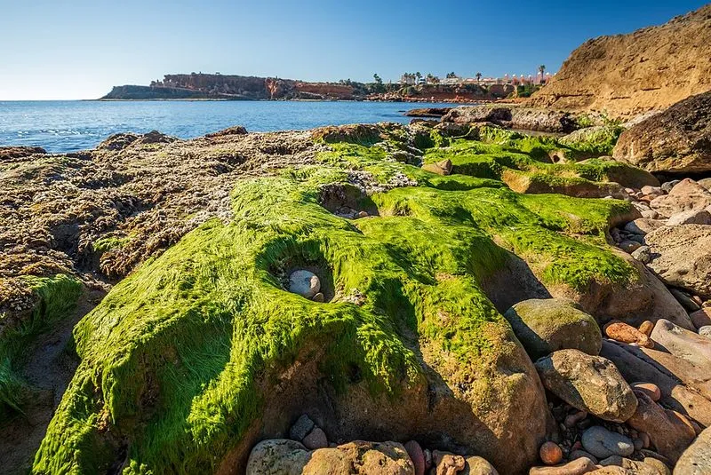 Cala de La Zorra en Torrevieja, Alicante — foto 3 de 5