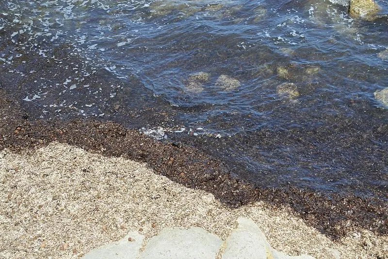 Playa Cala de les Bassetes en Calp, Alicante — foto 5 de 9