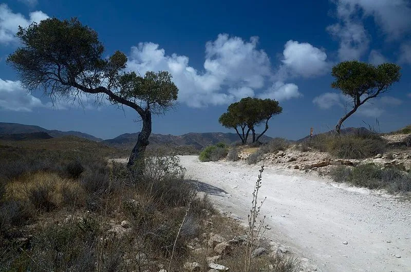 Playa Cala del Carnaje en Níjar, Almería — foto 2 de 9