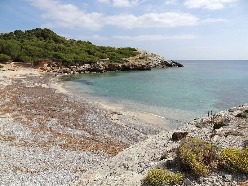 Playa Cala es Matzoc en Artà, Islas Baleares — foto 11 de 14