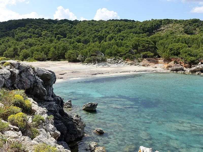 Playa Cala es Matzoc en Artà, Islas Baleares — foto 3 de 14
