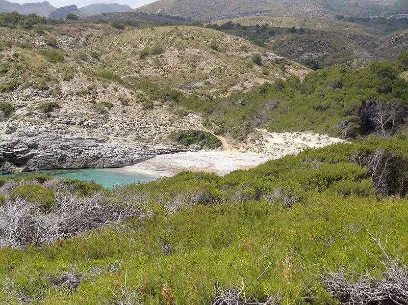 Playa Cala es Matzoc en Artà, Islas Baleares — foto 12 de 14