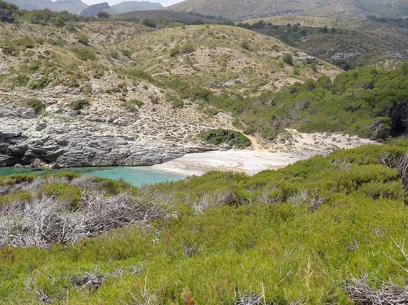 Playa Cala es Matzoc en Artà, Islas Baleares — foto 14 de 14