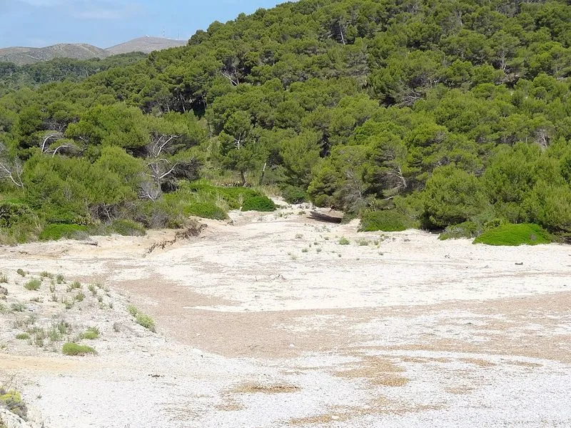 Playa Cala es Matzoc en Artà, Islas Baleares — foto 4 de 14