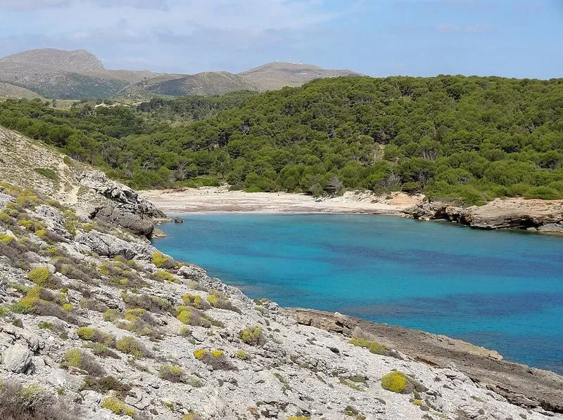 Playa Cala es Matzoc en Artà, Islas Baleares — foto 10 de 14