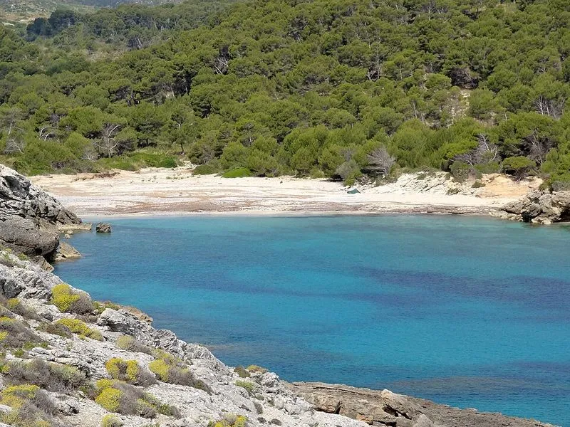 Playa Cala es Matzoc en Artà, Islas Baleares — foto 13 de 14