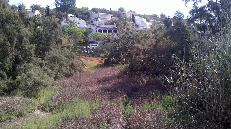 Cala Estany en Manacor, Islas Baleares — foto 6 de 9