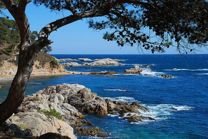Playa Cala Estreta en Palamós, Gerona — foto 8 de 9