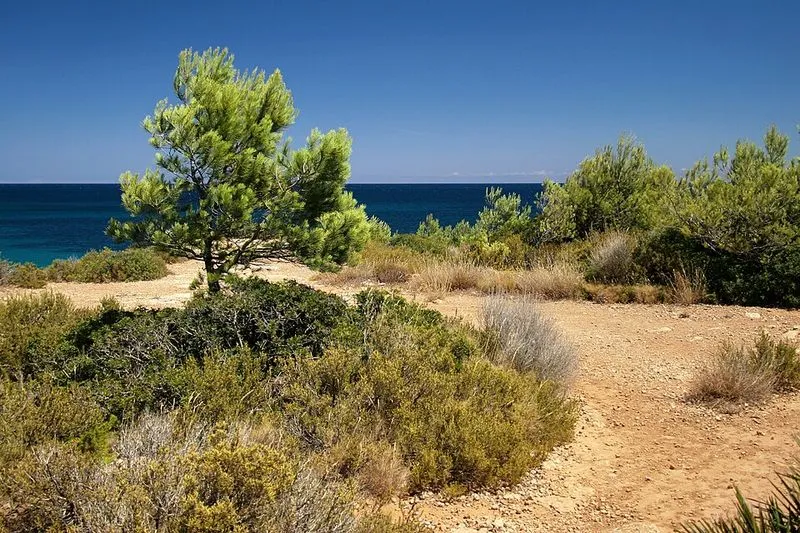 Playa Cala Forn en L'Ametlla de Mar, Tarragona — foto 6 de 8