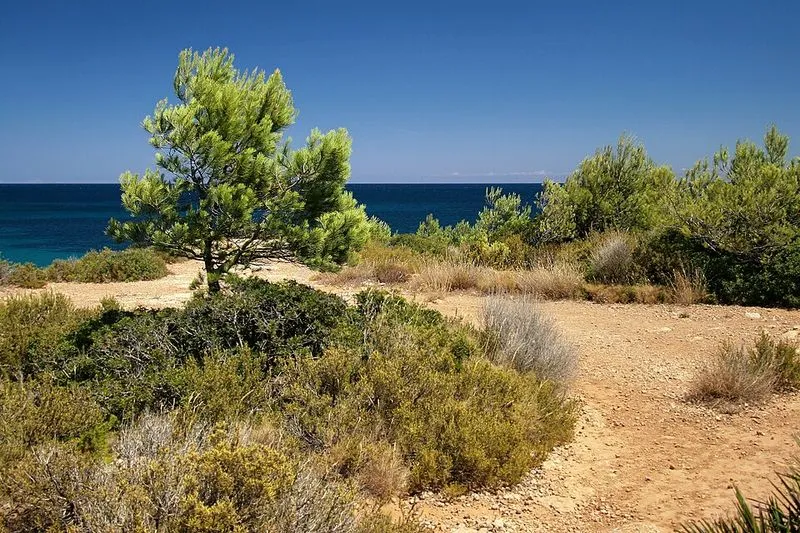 Playa Cala Forn en L'Ametlla de Mar, Tarragona — foto 8 de 8