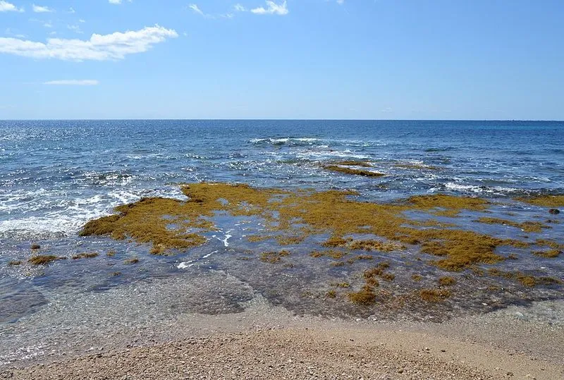 Playa Cala Les Urques en Calp, Alicante — foto 4 de 12
