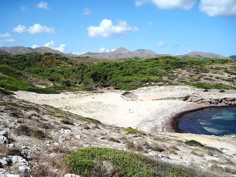 Playa Cala Mitjana en Artà, Islas Baleares — foto 2 de 10