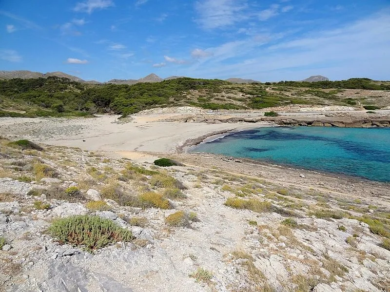 Playa Cala Mitjana en Artà, Islas Baleares — foto 7 de 10