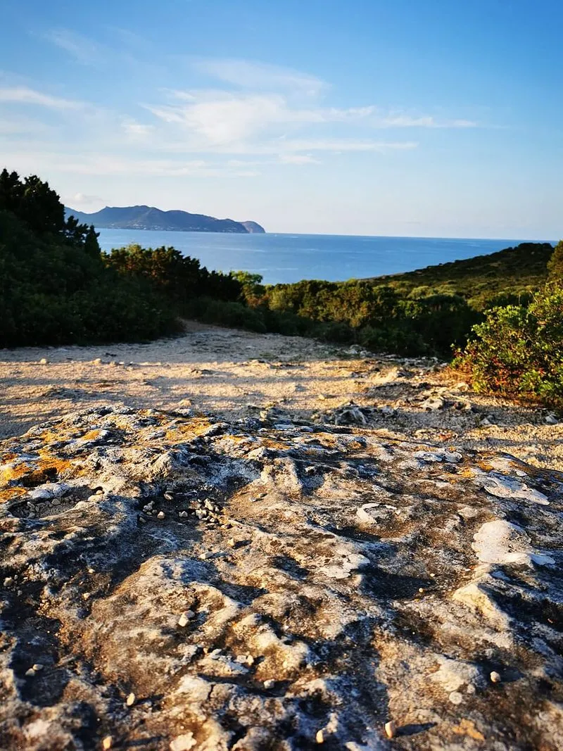 Cala Nau en Sant Llorenç des Cardassar, Islas Baleares — foto 3 de 3