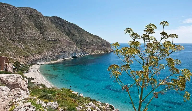 Playa Cala San Pedro en Níjar, Almería — foto 5 de 10