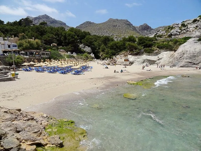 Playa Cala Sant Vicens en Pollença, Islas Baleares — foto 5 de 8