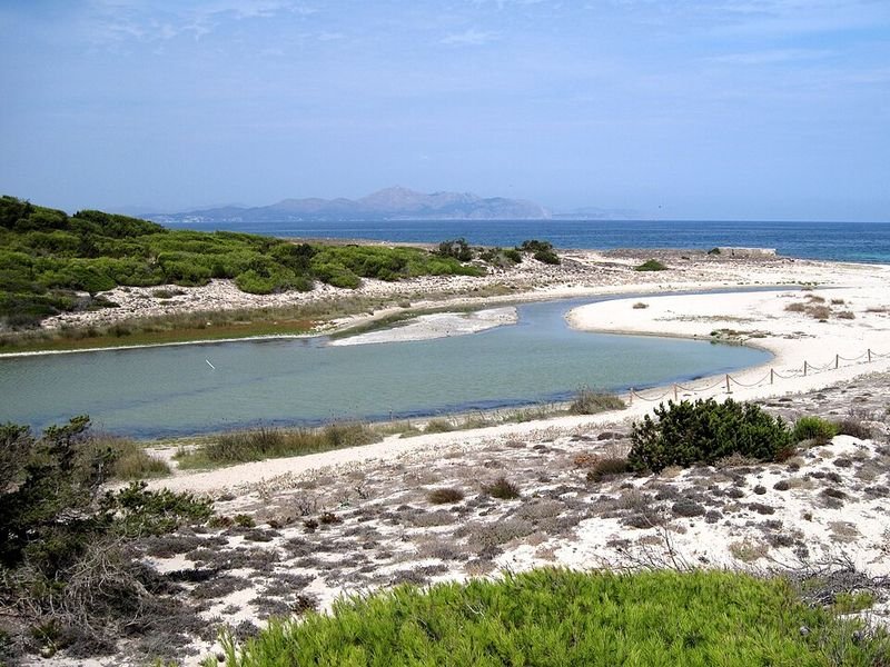 Playa Cala Serralot en Santa Margalida, Islas Baleares