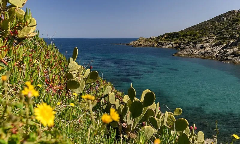 Cala Tamariua en El Port de la Selva, Gerona — foto 4 de 5