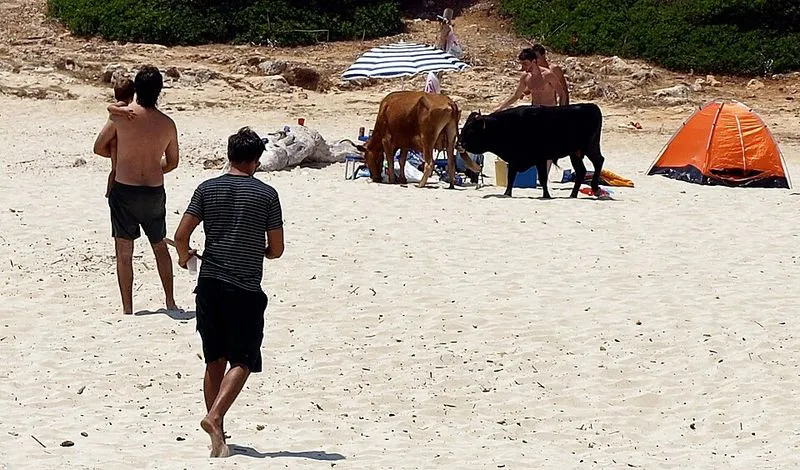 Playa Cala Varques en Manacor, Islas Baleares — foto 5 de 5