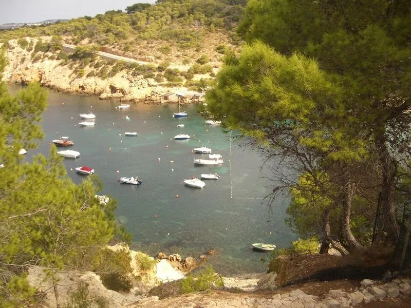Playa Cala Vedella en Sant Josep de sa Talaia, Islas Baleares — foto 8 de 8