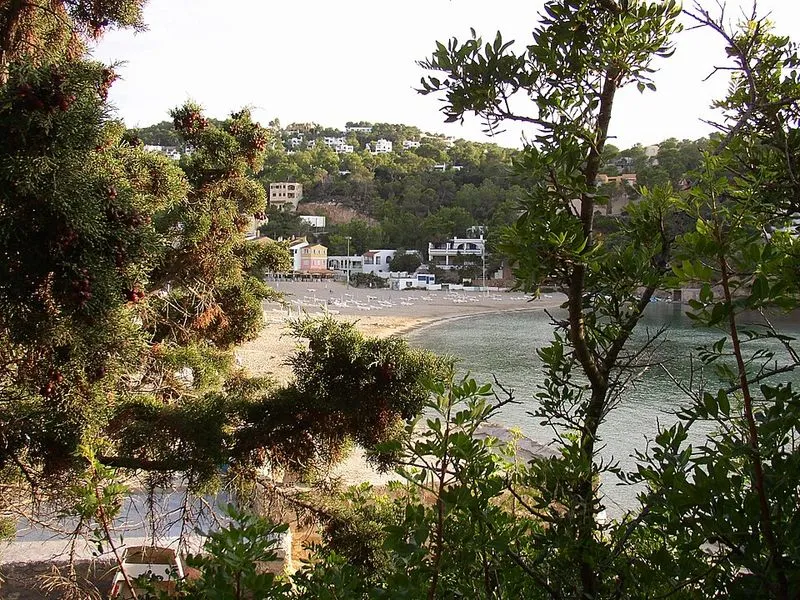 Playa Cala Vedella en Sant Josep de sa Talaia, Islas Baleares — foto 3 de 8